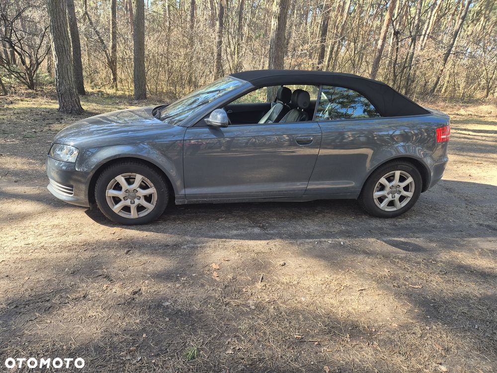Audi A3 Cabrio 1.6 Attraction - 2