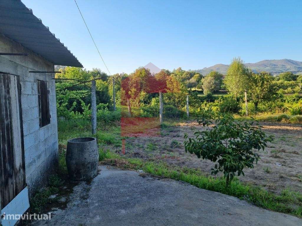 Terreno agrícola, Pico - Grande imagem: 2/12