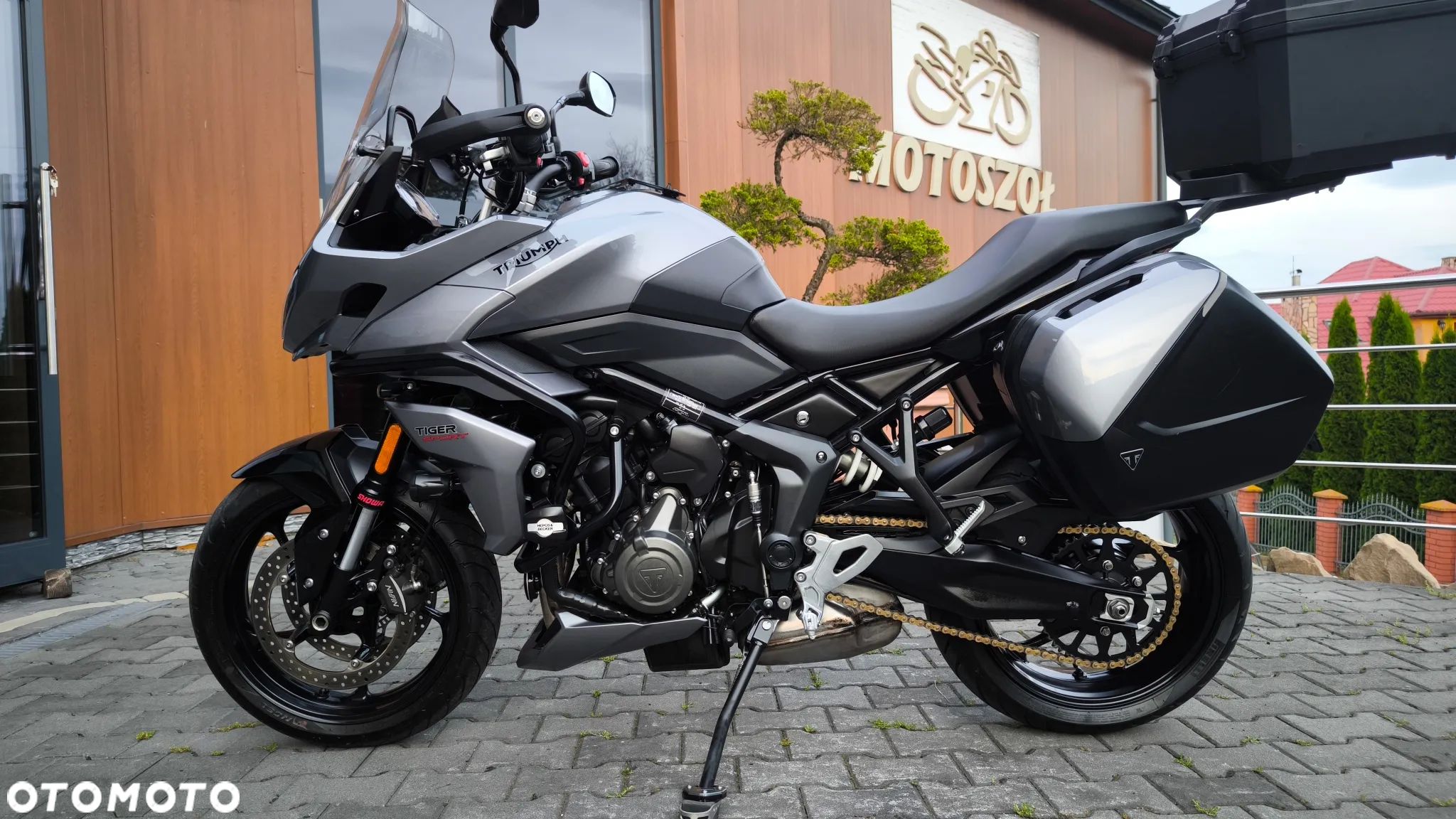 Triumph Tiger - 1