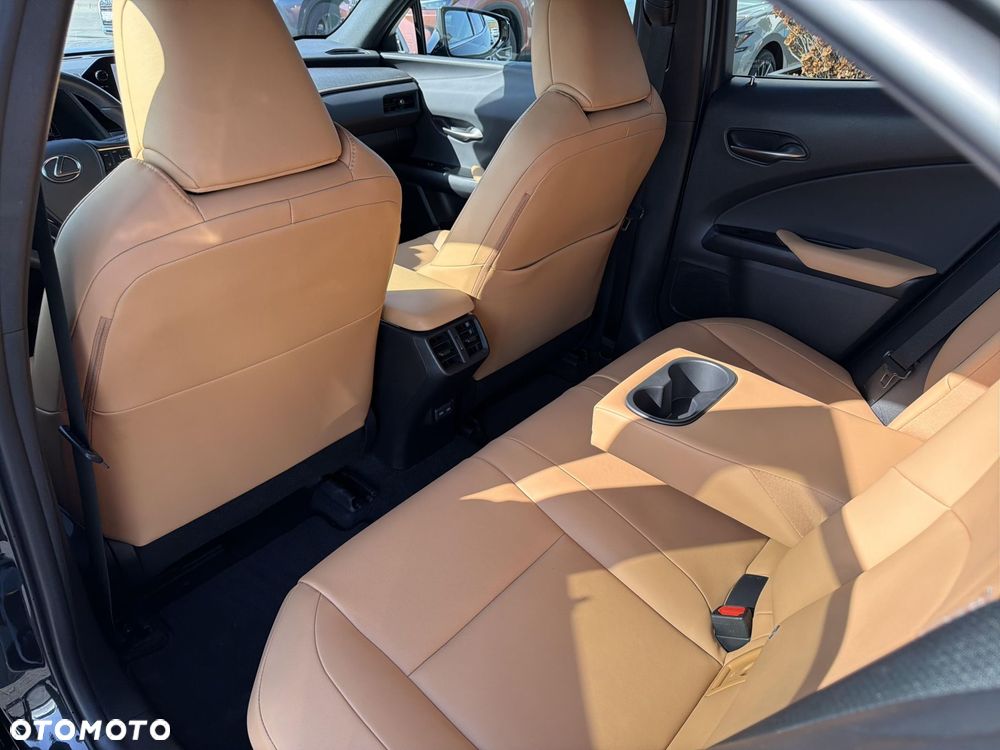 Lexus UX 250h GPF F Sport Design 2WD - 28