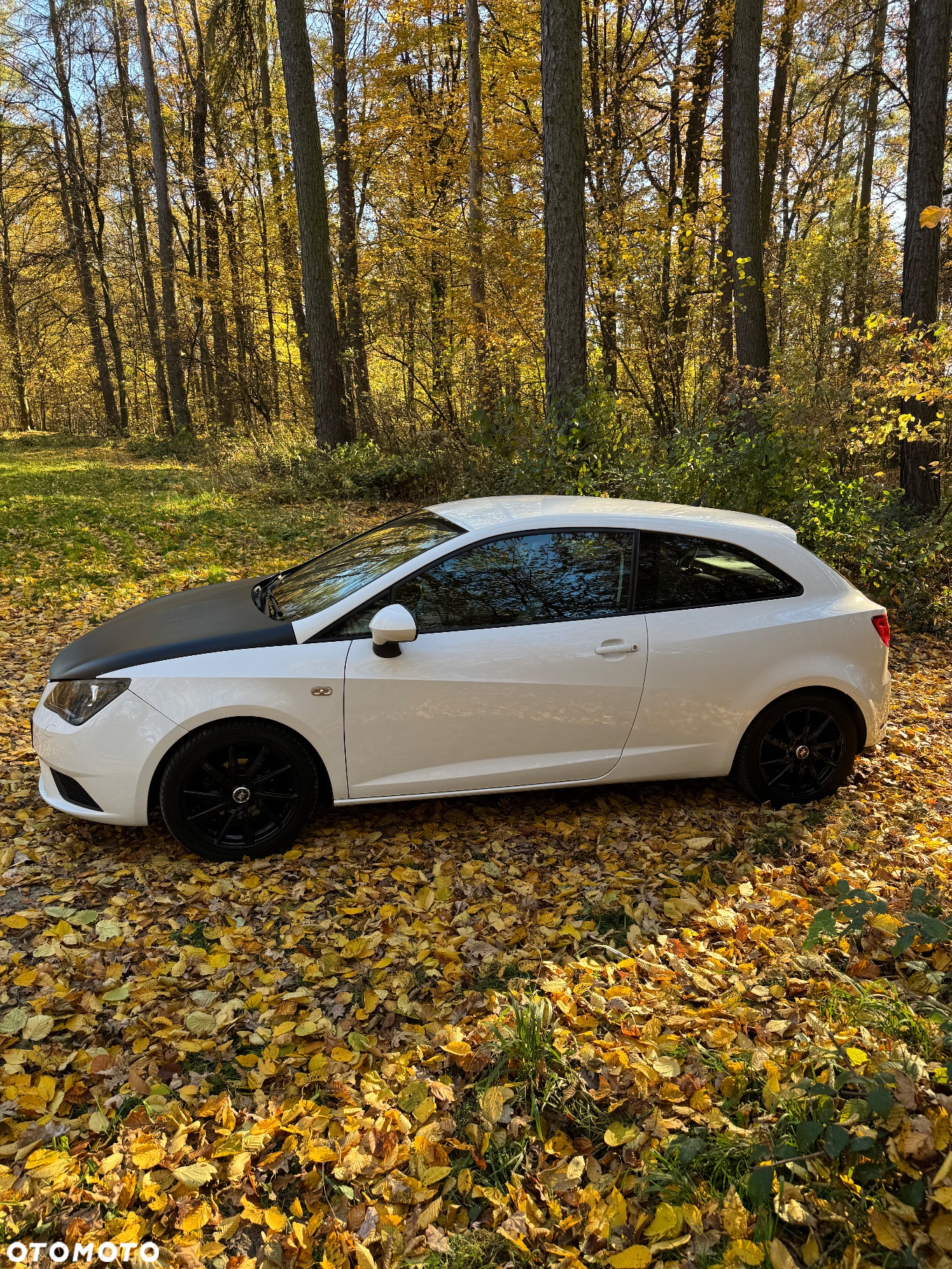 Seat Ibiza - 7