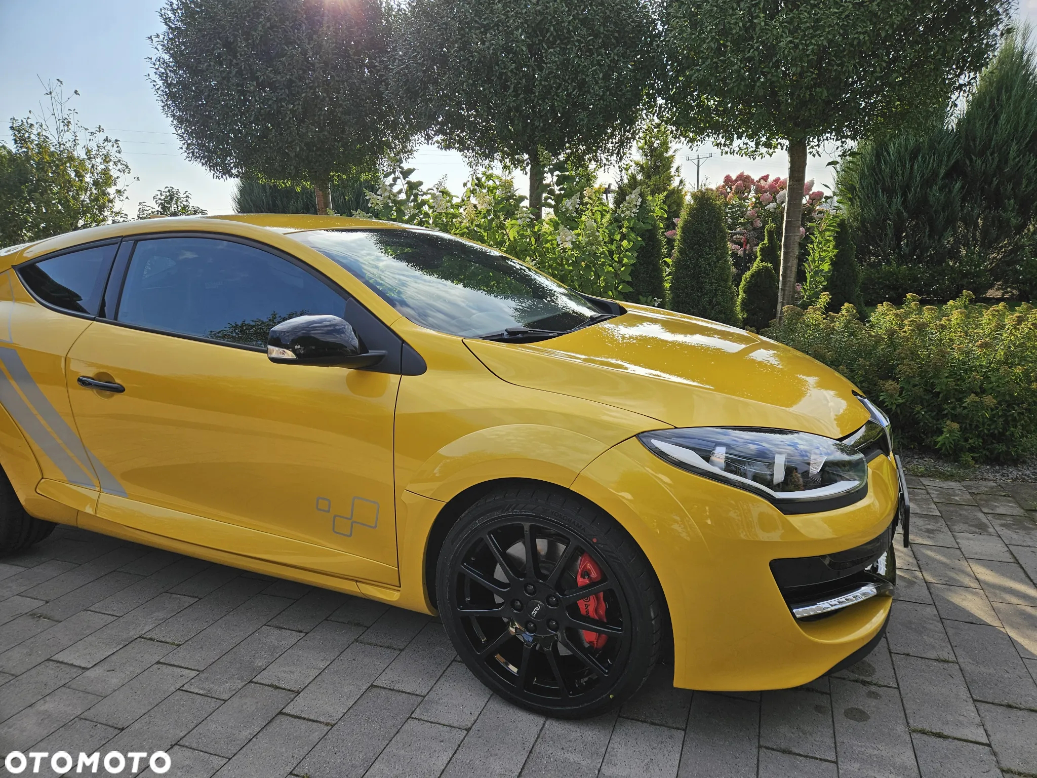 Renault Megane R.S SL Trophy - 2