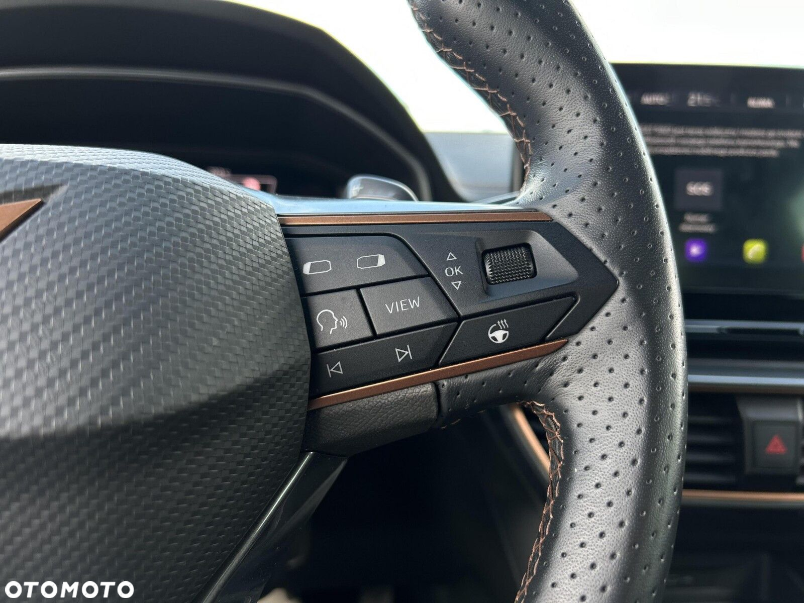 Cupra Formentor 1.5 TSI DSG - 20