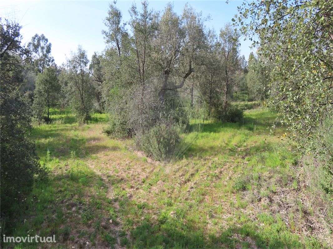 Quinta  para venda - Grande imagem: 2/20