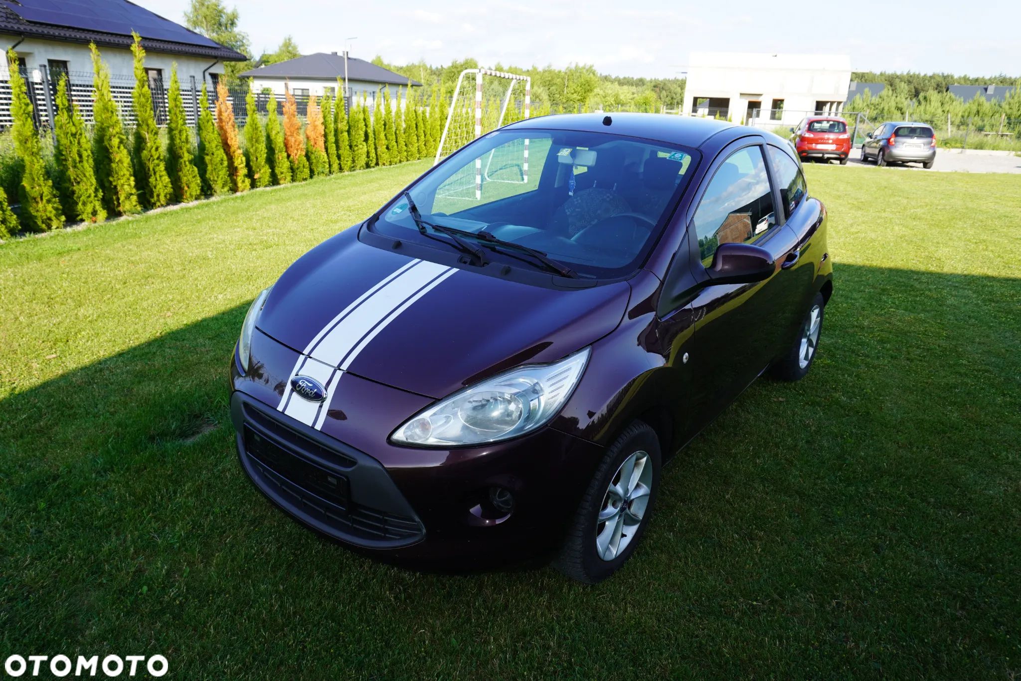 Ford KA 1.2 Start-Stopp-System Champions Edition - 1