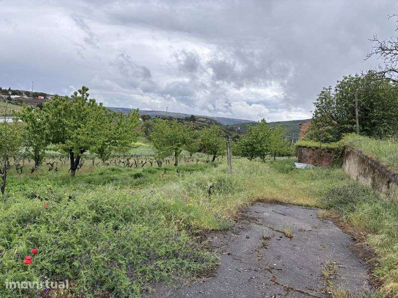 Casa com Restaurante + Vinha à Venda em Bragança – 2 andares, Garagem - Grande imagem: 3/12