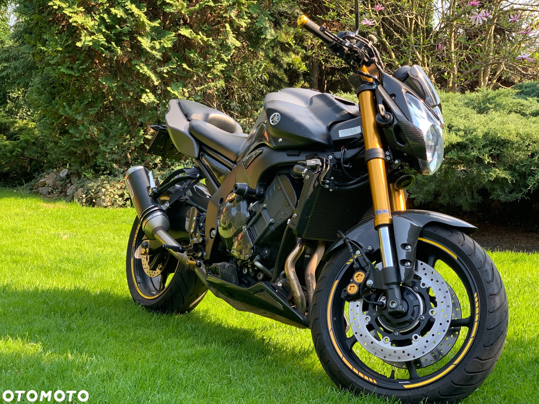 Yamaha FZ8 - 2