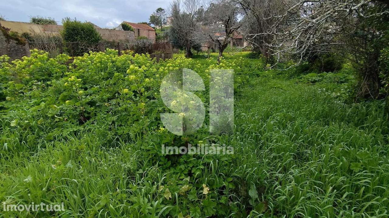 Terreno Urbano 750 m2 Mata da Curia - Grande imagem: 4/8