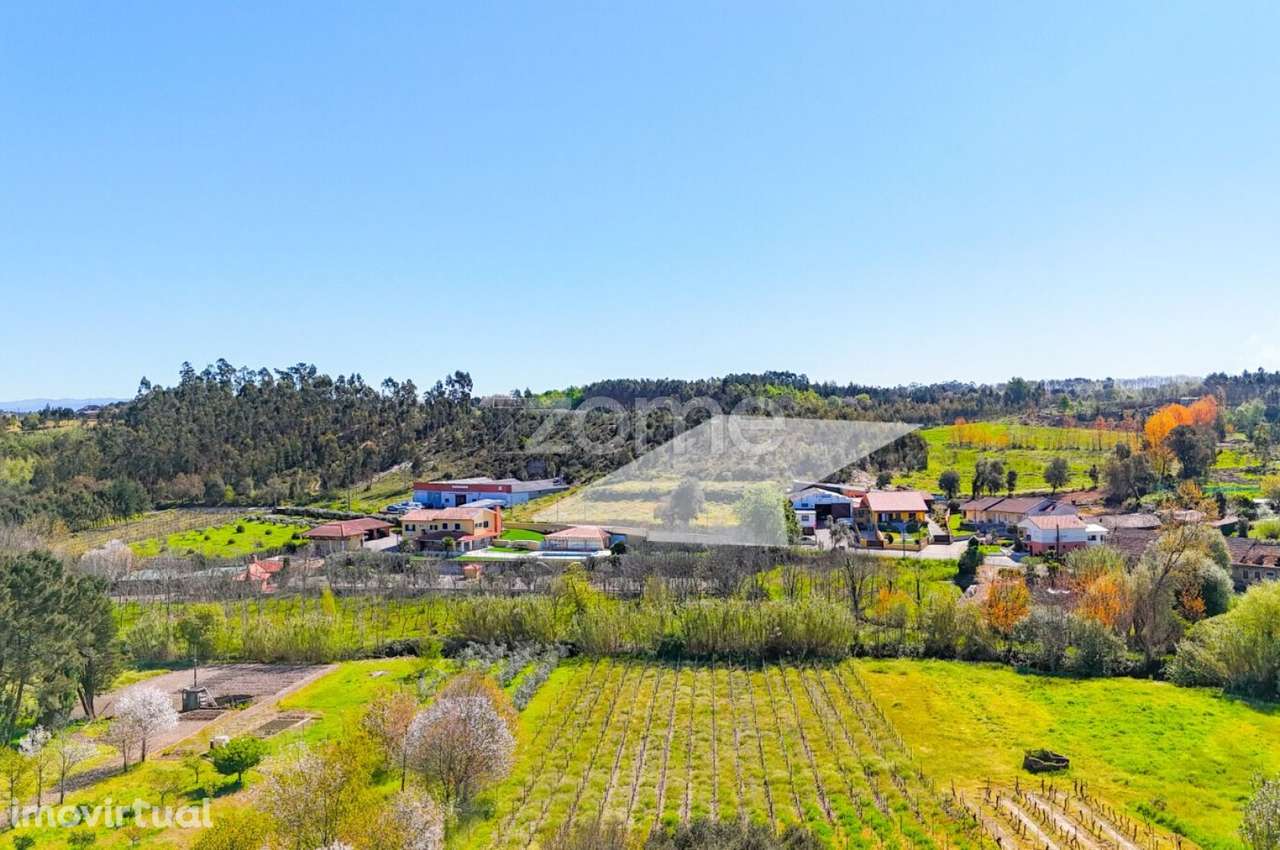 Viva entre as Vinhas: Terreno com Vista Panorâmica na Bairrada - Grande imagem: 5/16