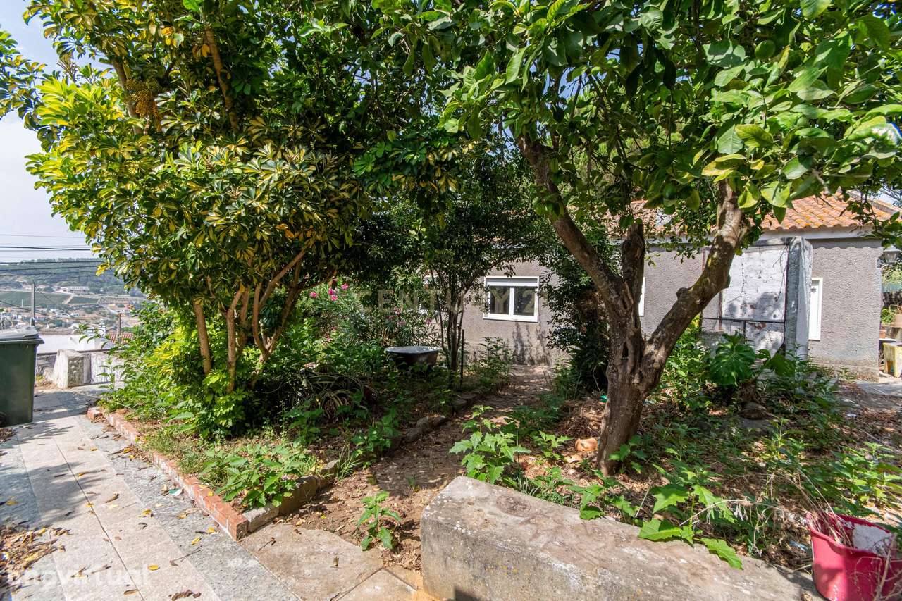 Moradia T3 em São João dos Montes - Grande imagem: 5/53