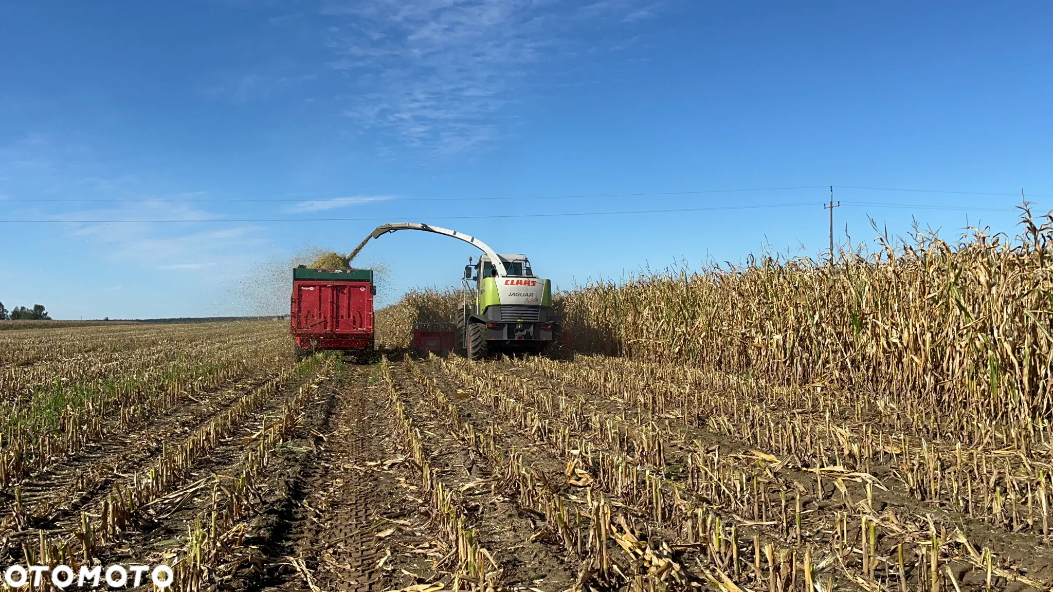Claas Jaguar 900 ProfiStar - 8