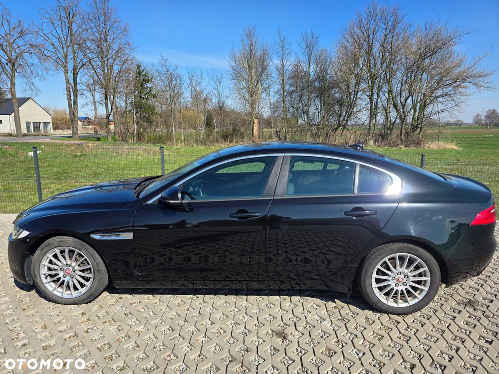 Jaguar XE E-Performance Pure - 4