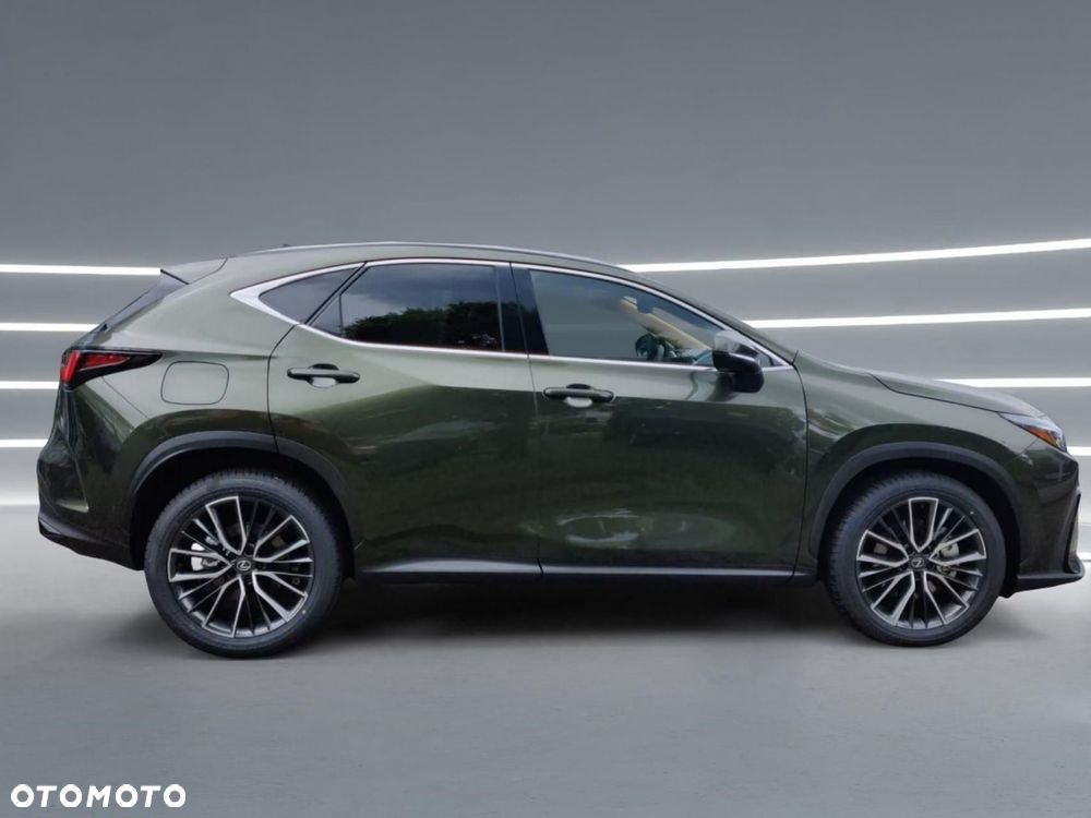 Lexus NX - 9
