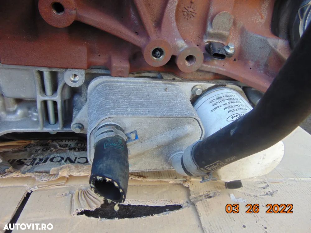 termoflot Ford Transit 2.0 euro 6 transit custom 2.0 - 1