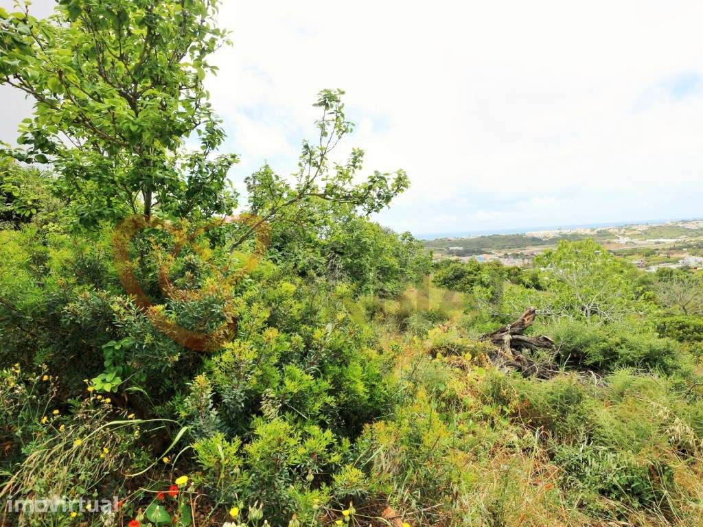 Terreno para venda com Vista Mar e vista para a Marina de Albufeira - Grande imagem: 3/8