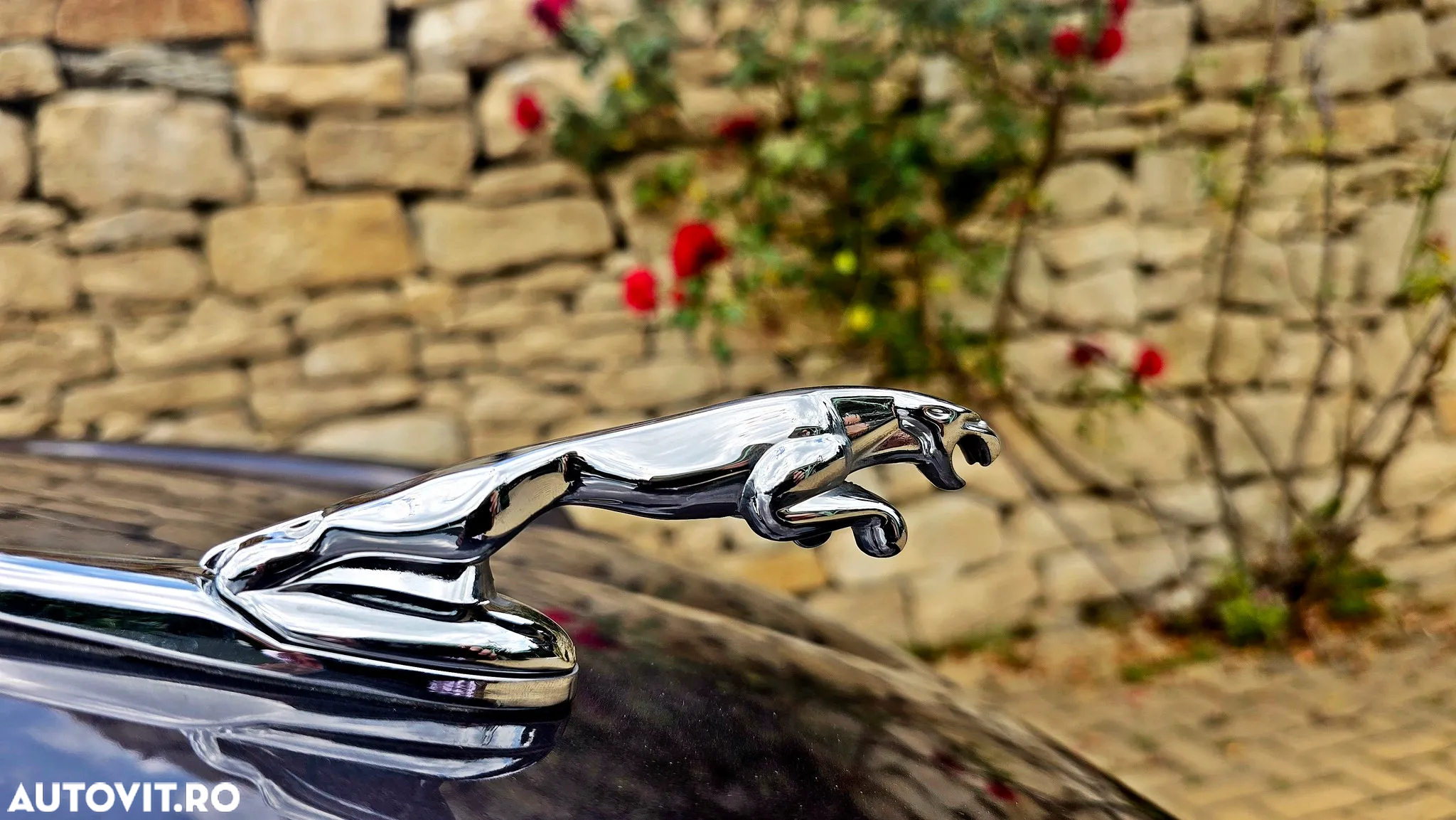 Jaguar XJ XJ6 2.7 Twin Turbo Diesel Executive Last Edition - 4