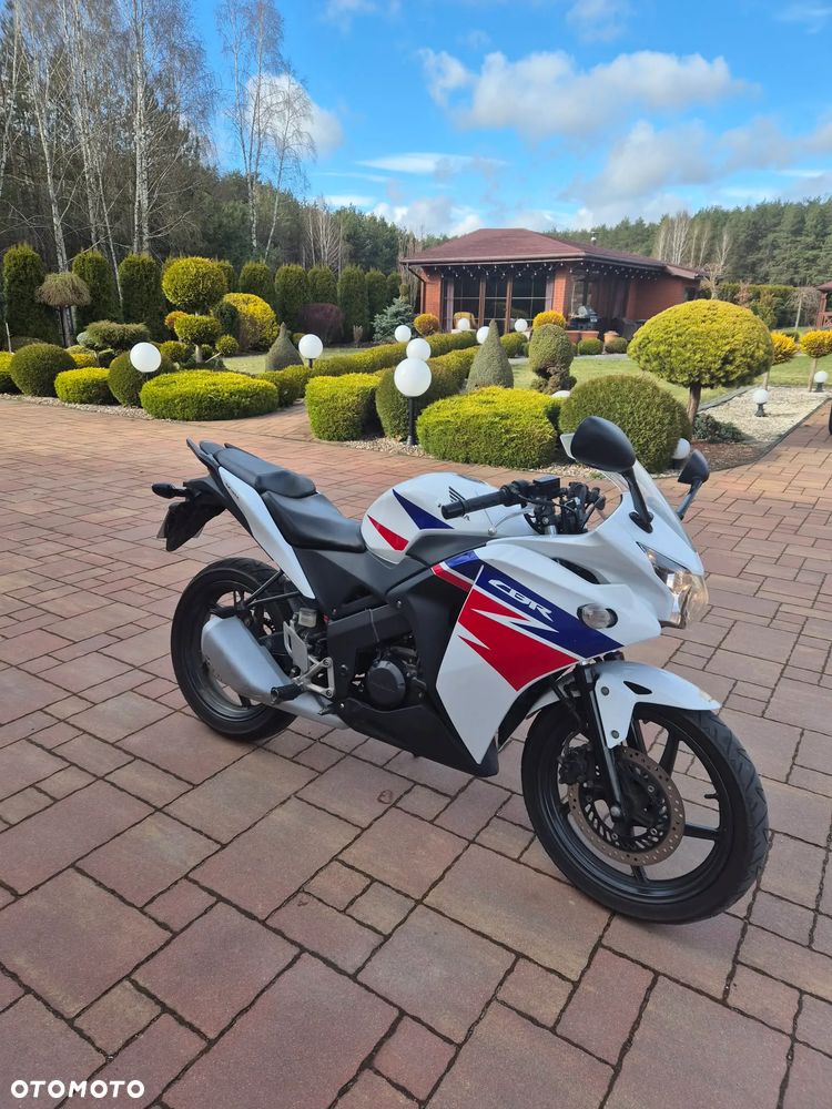Honda CBR - 1