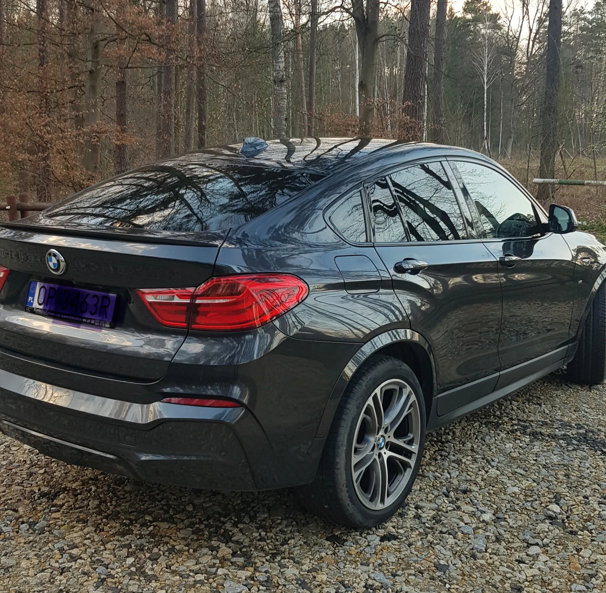 BMW X4 xDrive35d Edycja M Sport - 6