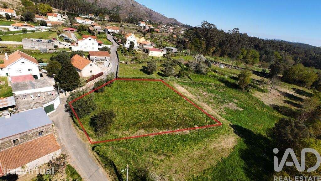 Terreno Agrícola em Montaria - Grande imagem: 3/11