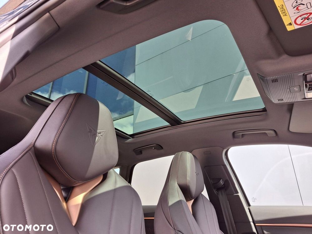 Cupra Terramar 2.0 TSI 4Drive DSG - 25