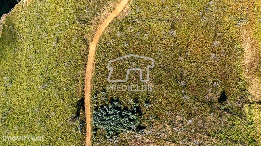 Terreno Exclusivo na Ponta do Pargo com vista Mar e Golf - Grande imagem: 2/9