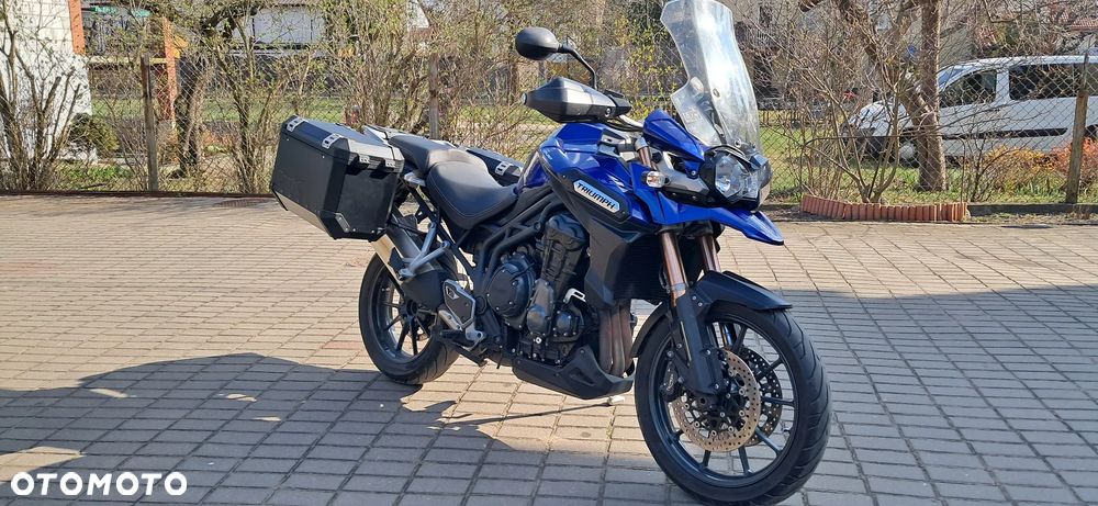 Triumph Tiger - 1