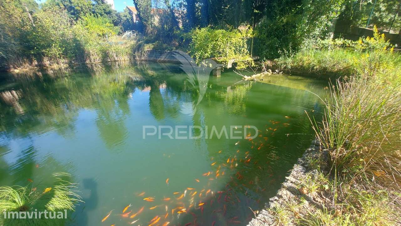Quinta com Moradia T4, piscina, Terreno com 3 ha, Santarém. - Grande imagem: 2/35
