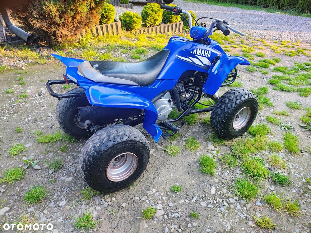 Yamaha Raptor - 6