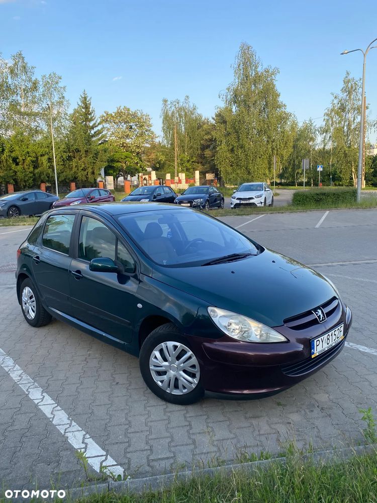 Peugeot 307 1.4 XR - 8