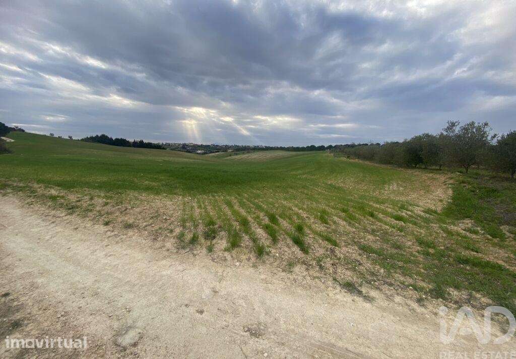 Terreno em Abitureiras - Grande imagem: 5/8