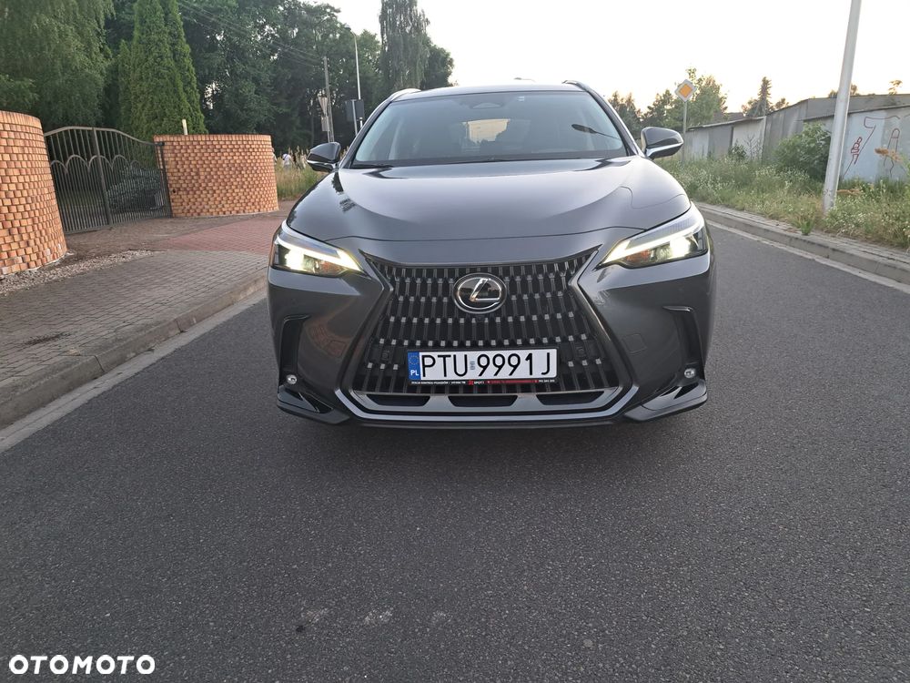 Lexus NX 450h+ E-FOUR Luxury - 10