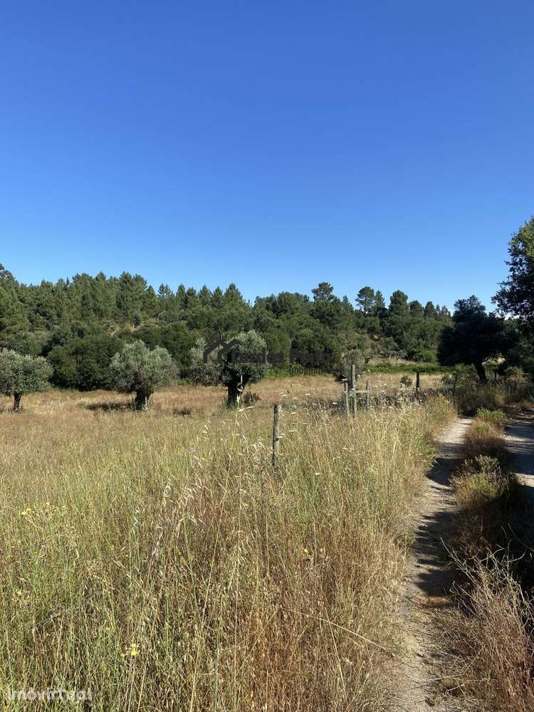 Quinta junto a ribeiro - Grande imagem: 3/10