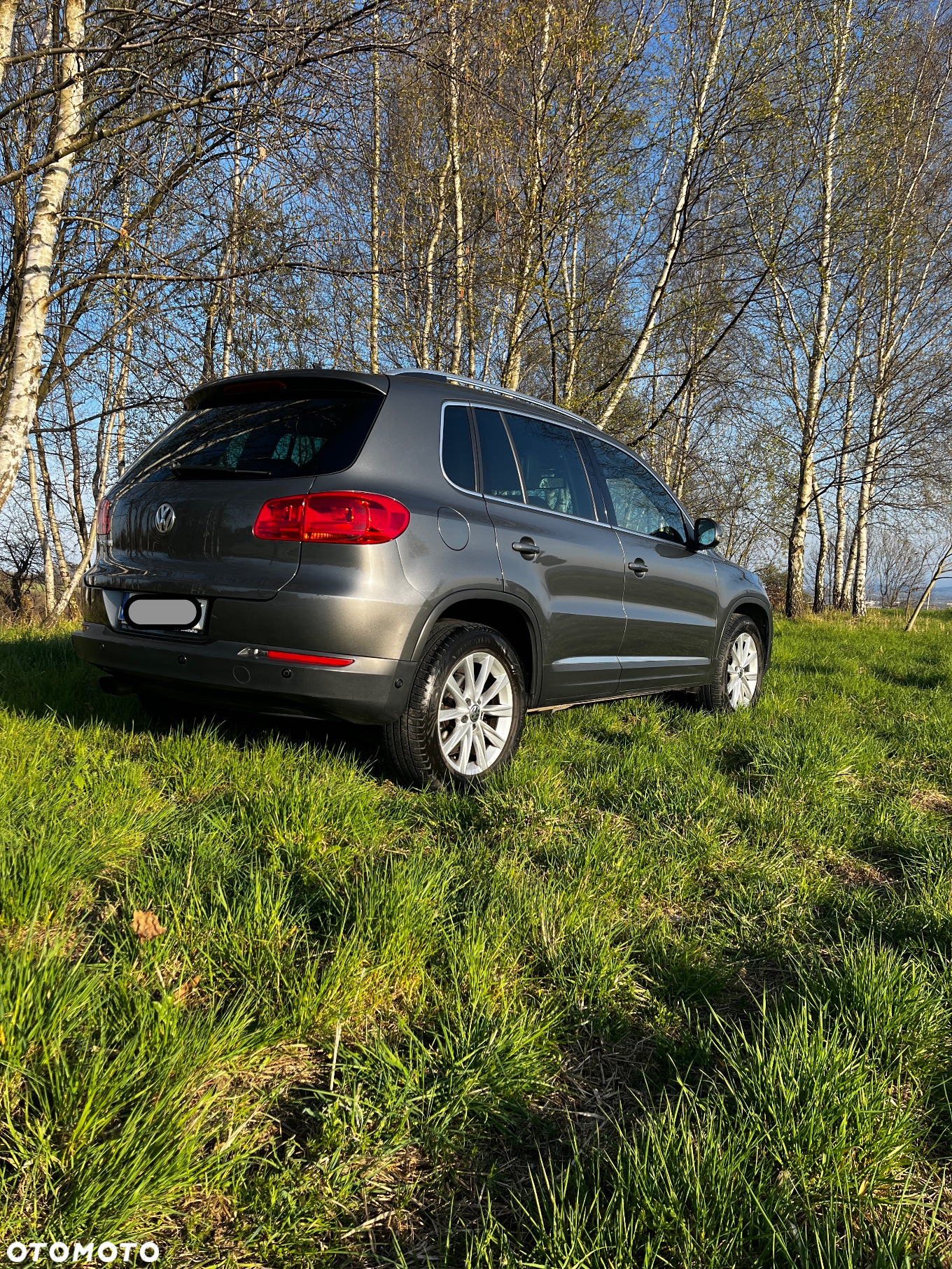 Volkswagen Tiguan 2.0 TDI 4Mot Sport&Style DSG - 2