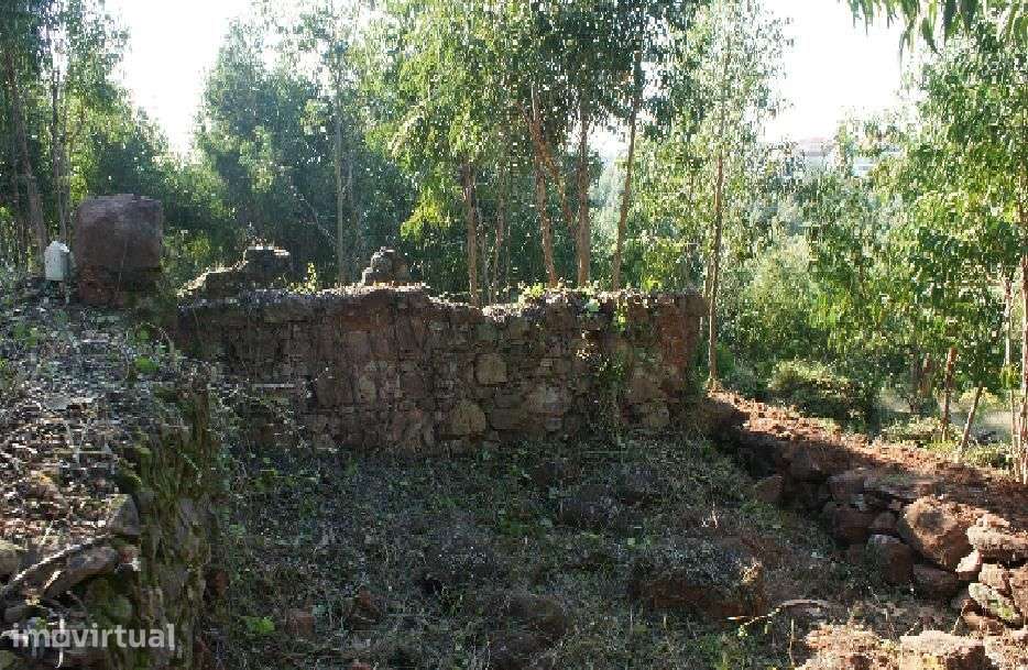 Buarcos - Herdade com vista de mar - Grande imagem: 4/16