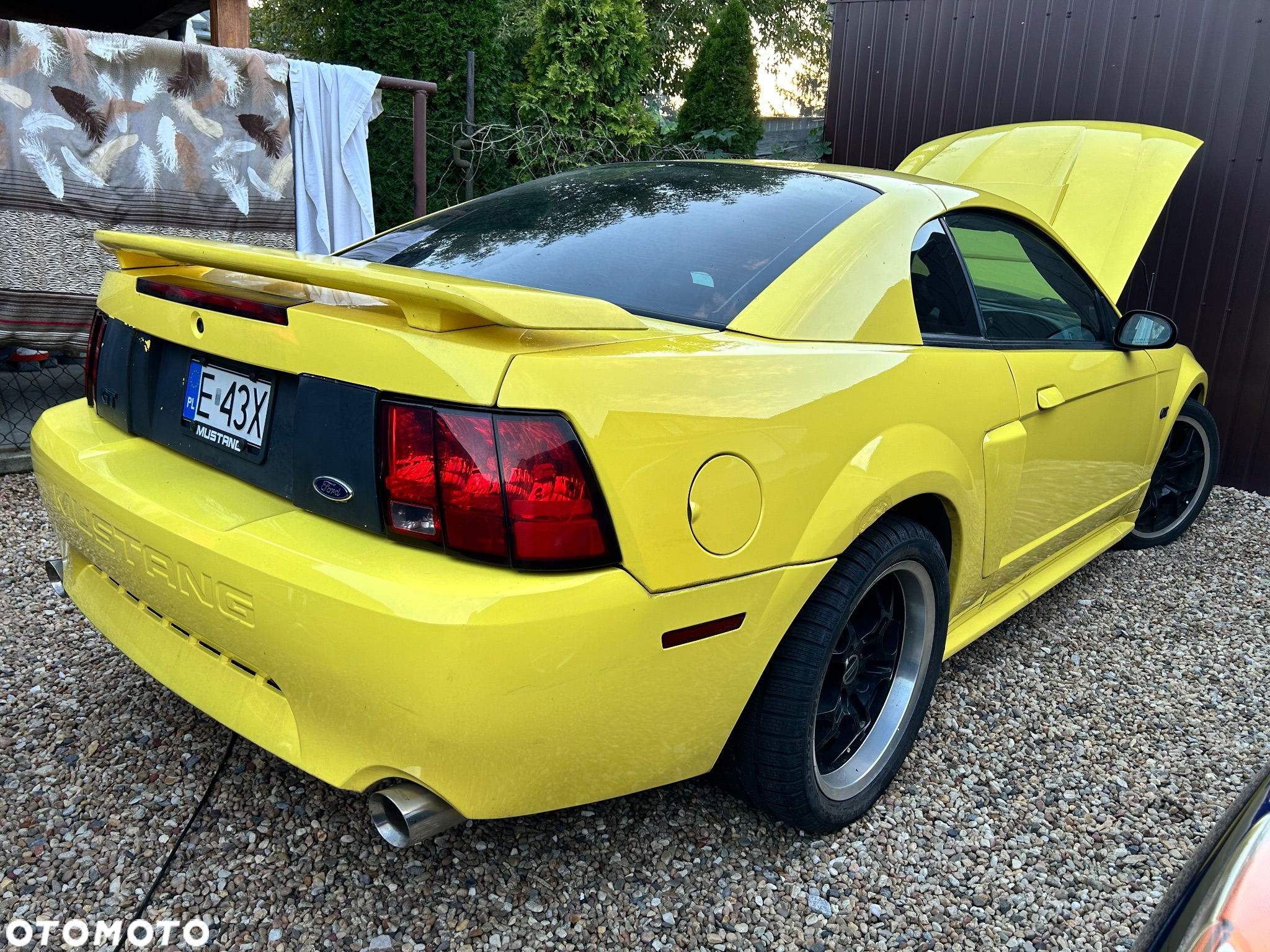 Ford Mustang - 12