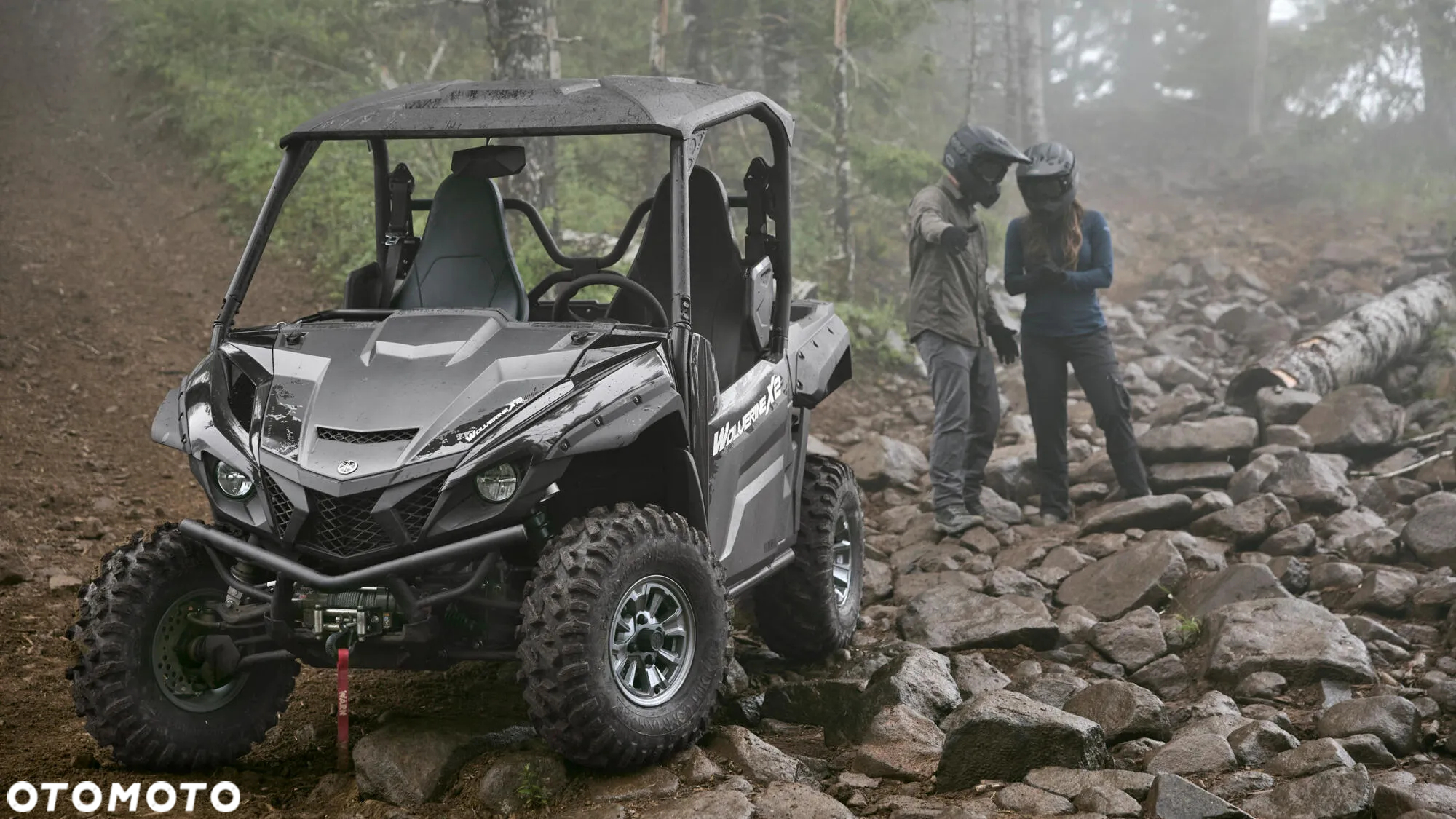 Yamaha Wolverine - 3