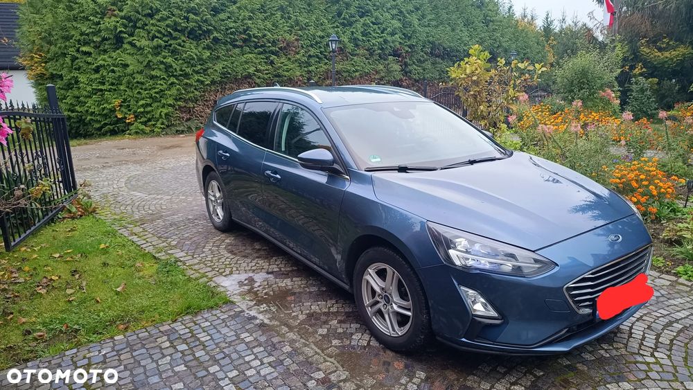 Ford Focus 2021 photo 2
