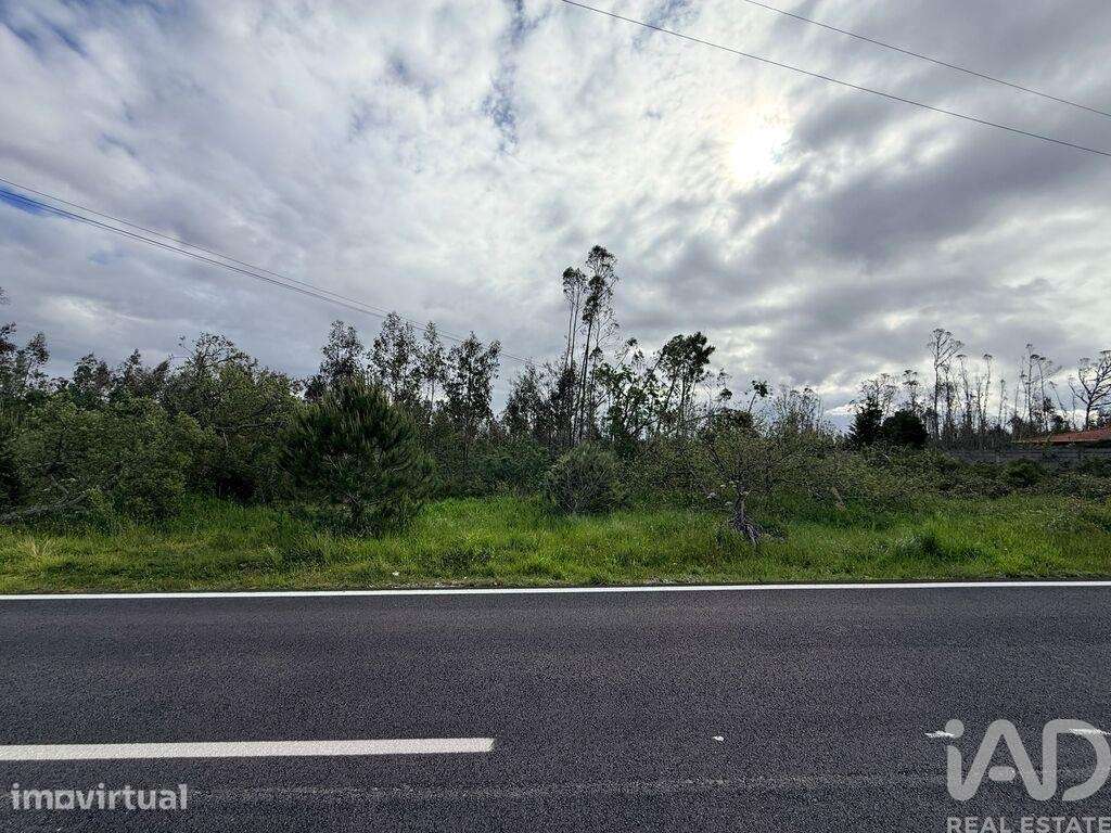 Terreno Agrícola em Marinha Grande - Grande imagem: 3/5
