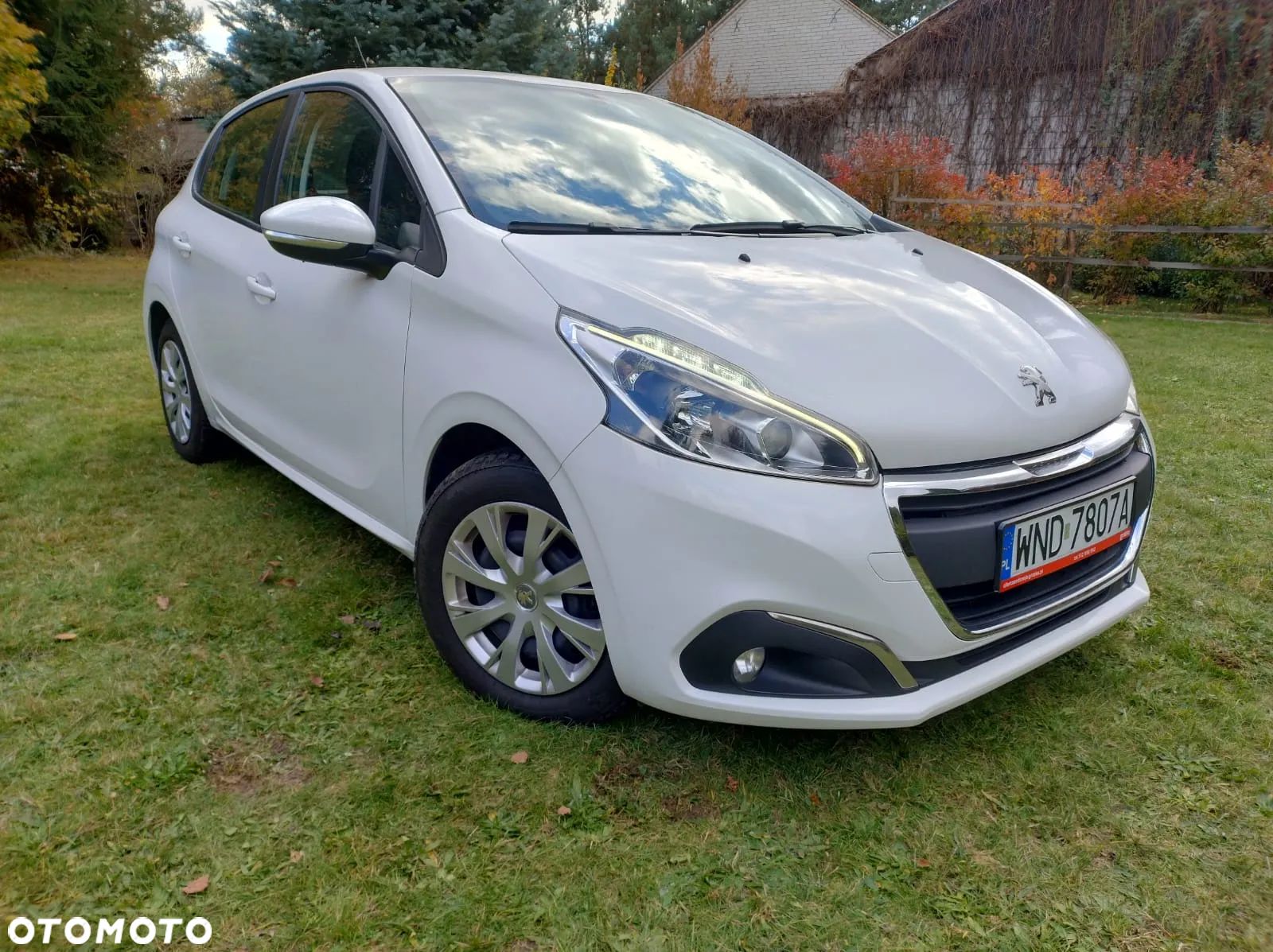 Renault Clio - 1