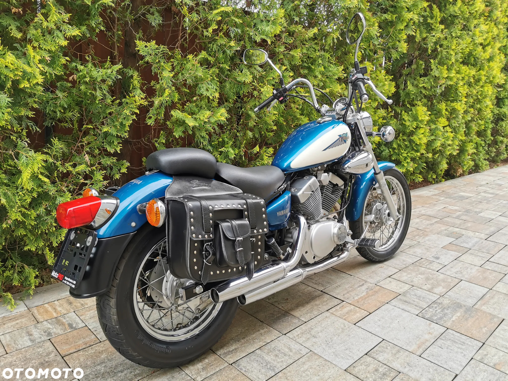 Yamaha Virago - 3