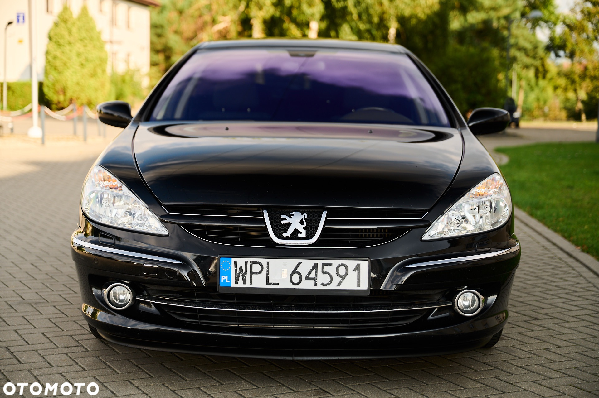 Peugeot 607 - 5