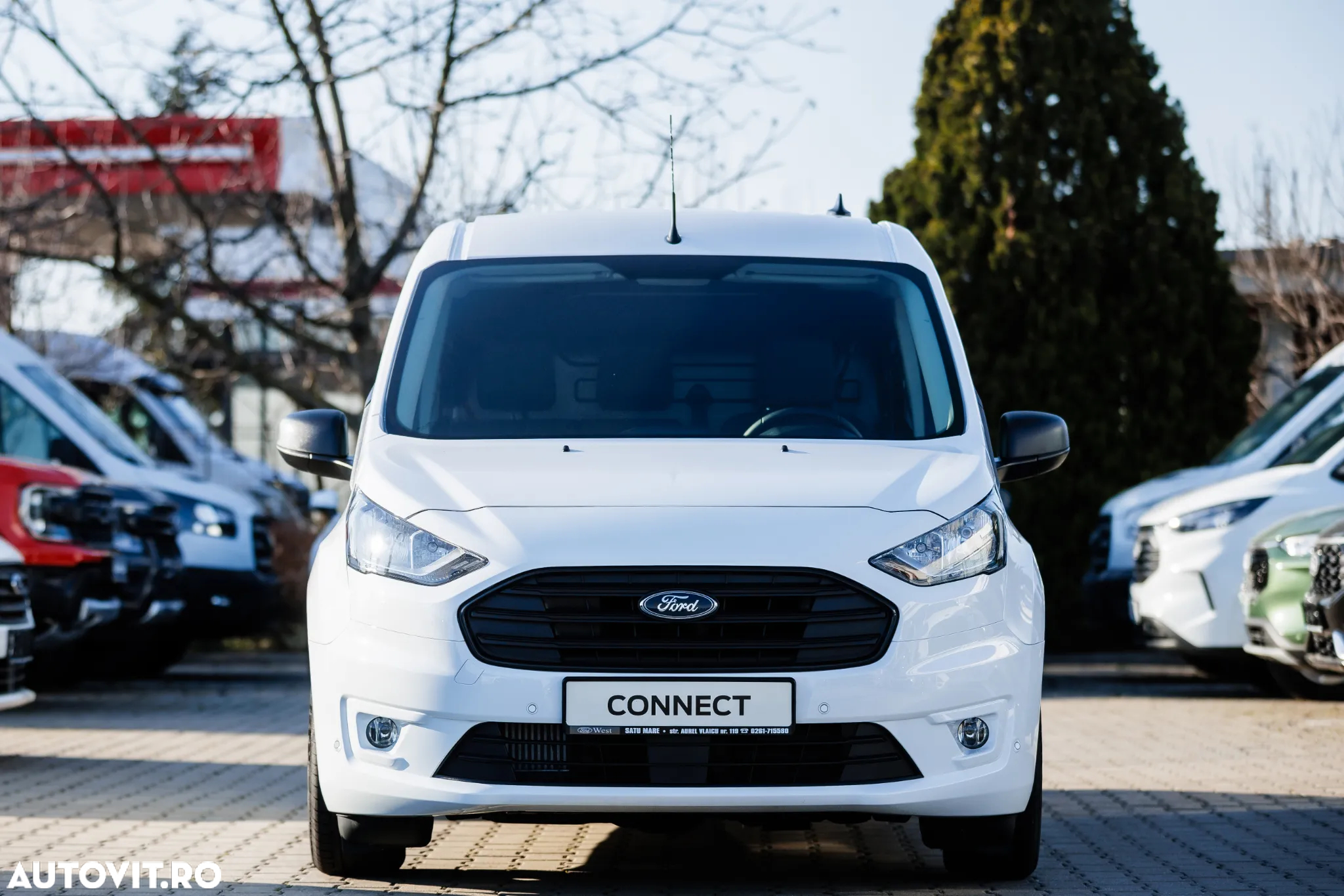 Ford Transit Connect - 6