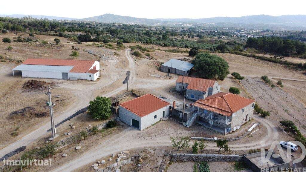 Quinta agricola T7 em Lajeosa do Mondego - Grande imagem: 2/40