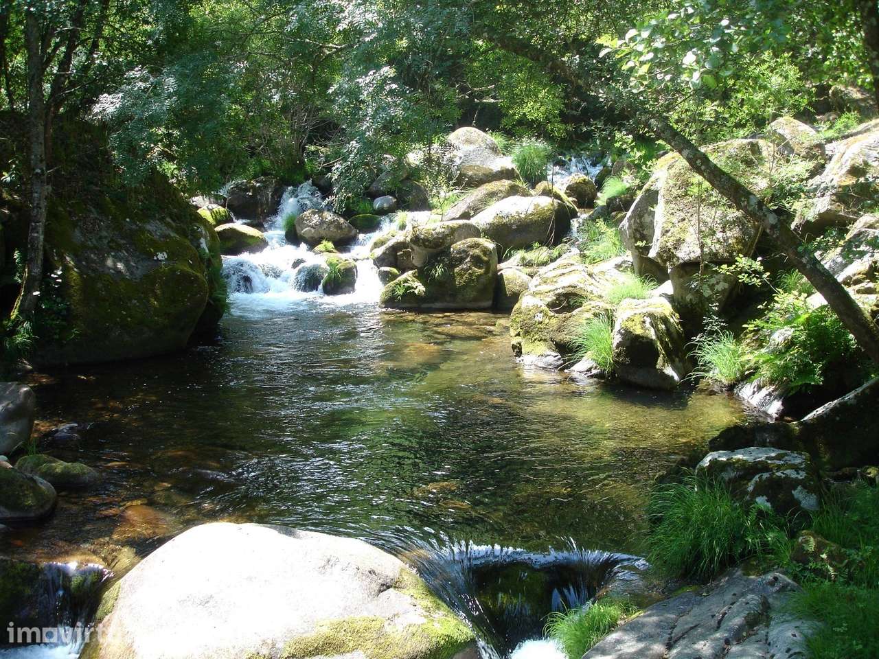 Quinta  Venda em Cinfães,Cinfães - Grande imagem: 2/11
