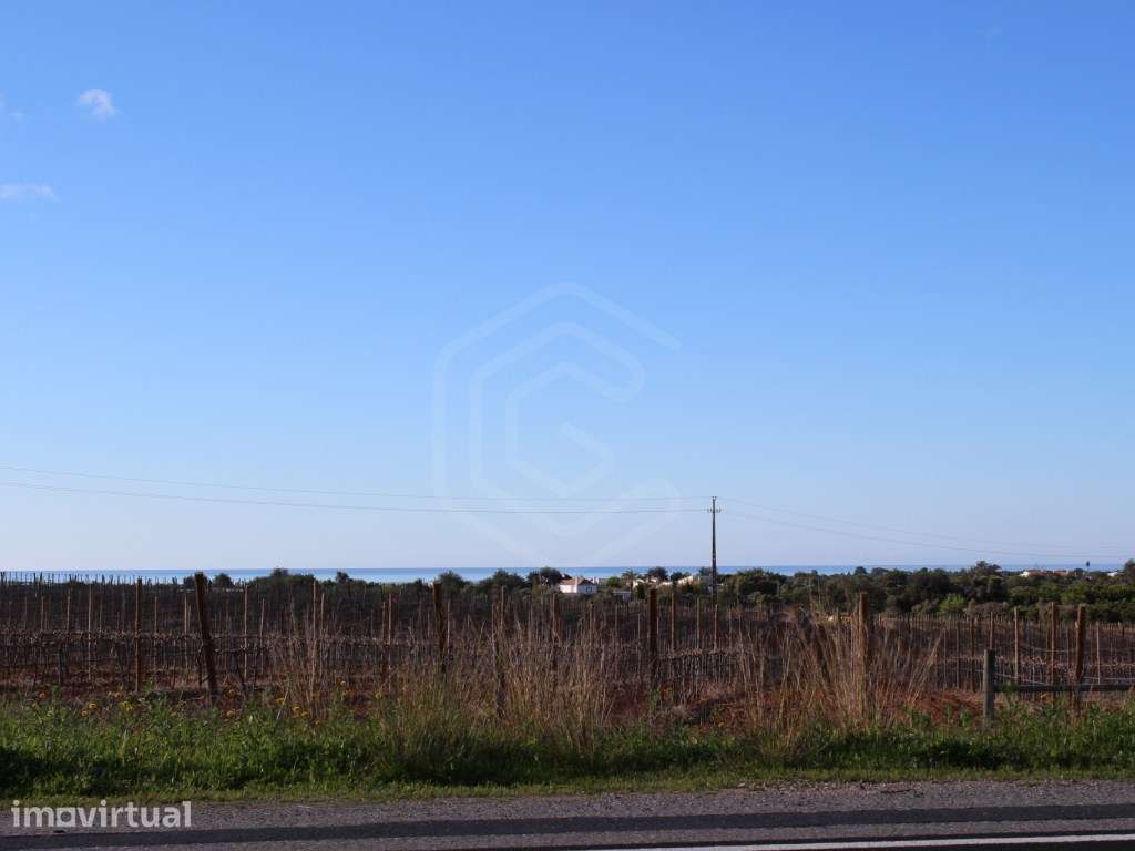 Terreno misto com enorme potencial de construção, Tavira, Algarve - Grande imagem: 4/11