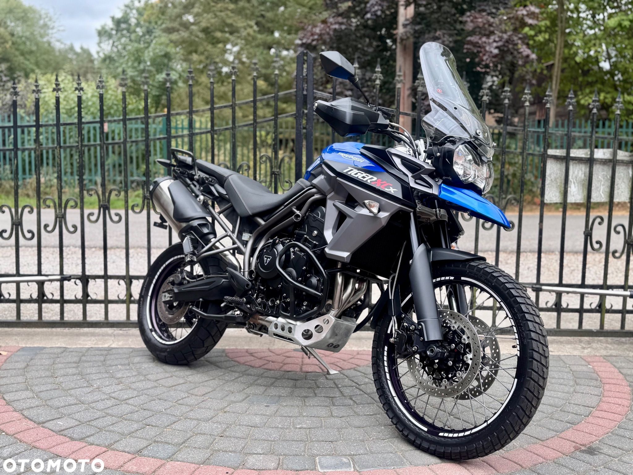 Triumph Tiger - 1