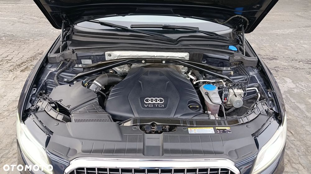 Audi Q5 - 19