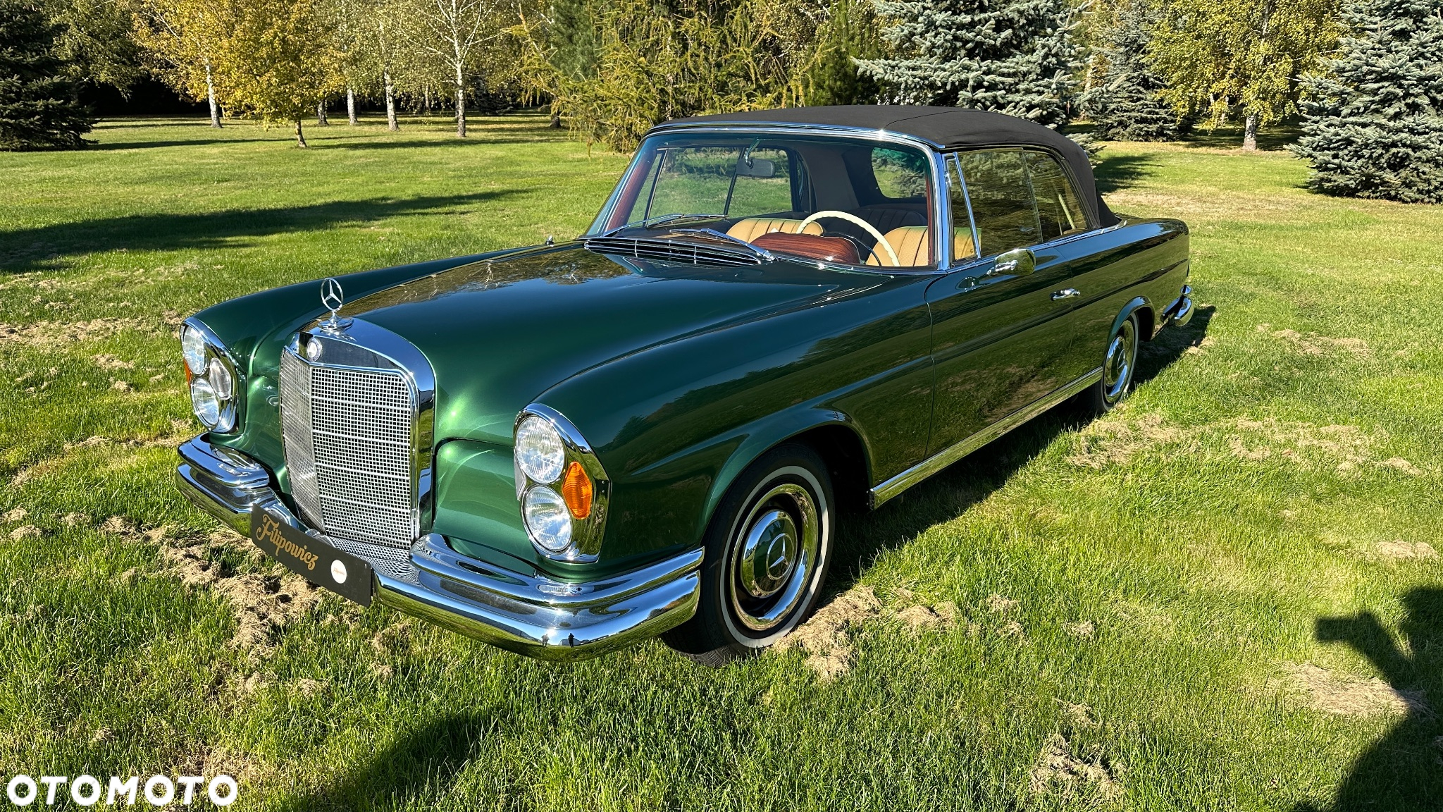 Mercedes-Benz Inny - 23