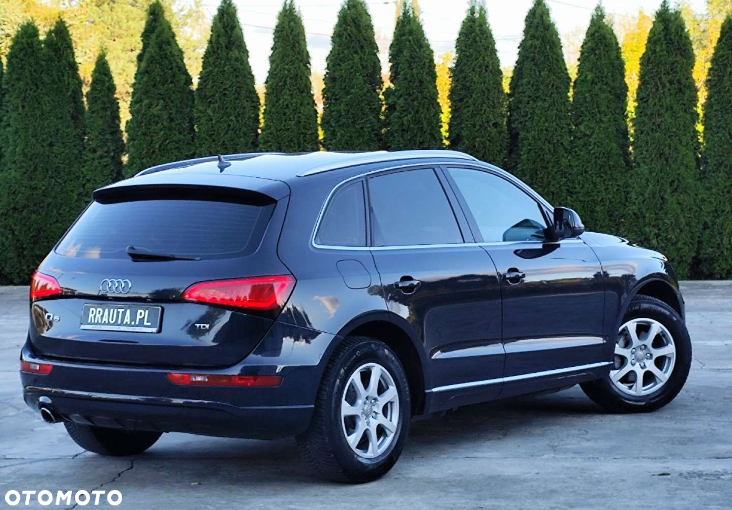 Audi Q5 - 19