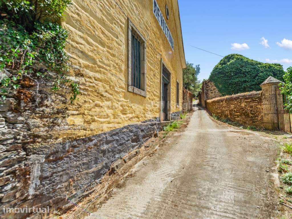 Quinta com 7,4 ha para venda em Fontelas, Douro - Grande imagem: 4/26